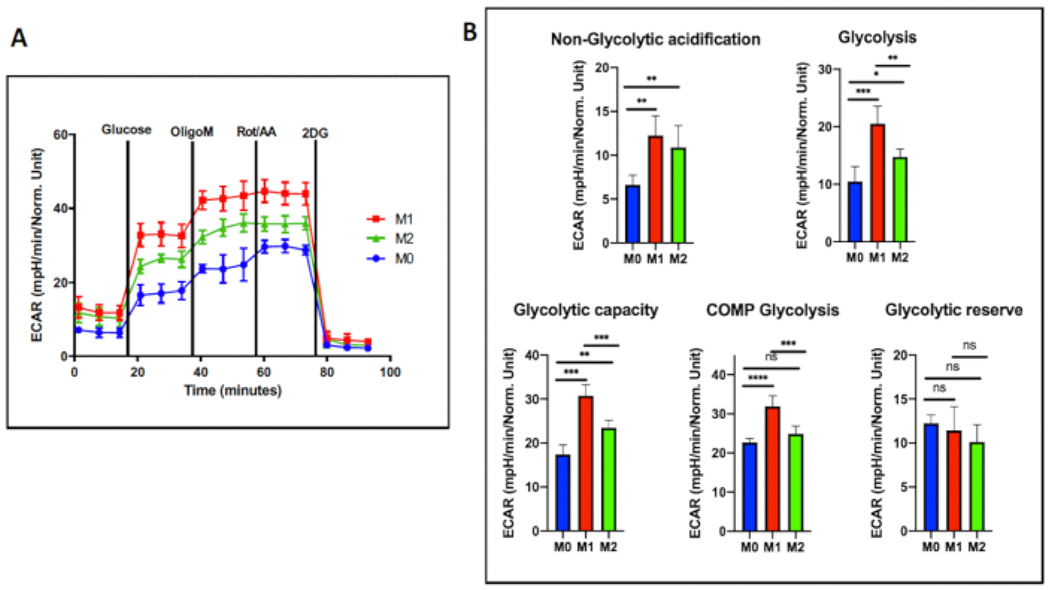 Figure 5: