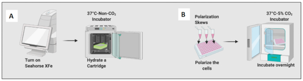 Figure 2: