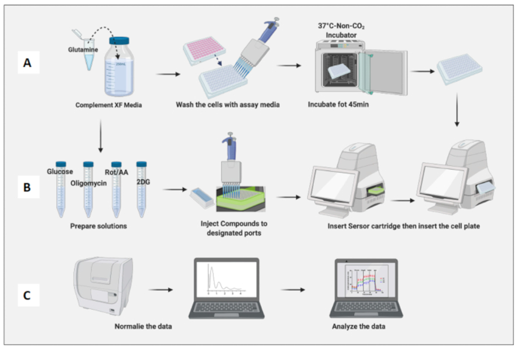 Figure 3: