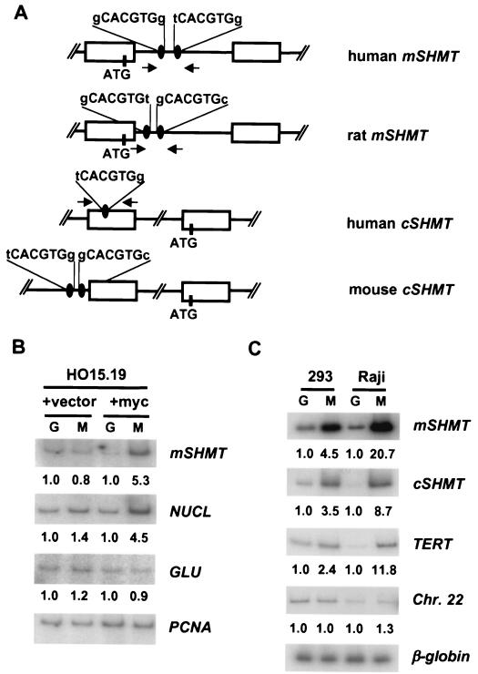 FIG. 4.