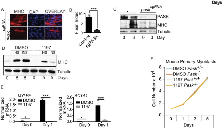 Figure 1—figure supplement 4.