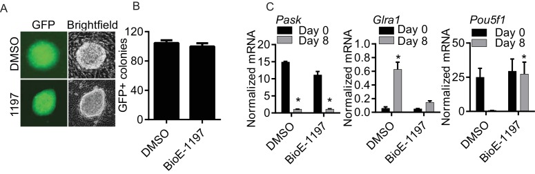 Figure 1—figure supplement 2.