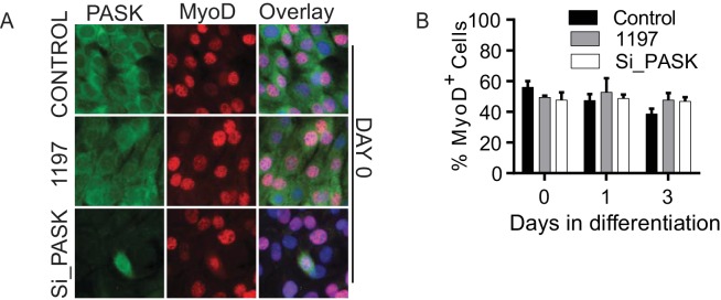 Figure 2—figure supplement 2.