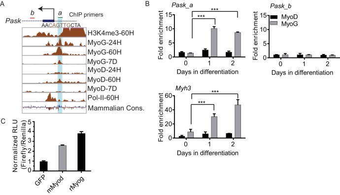 Figure 2—figure supplement 3.