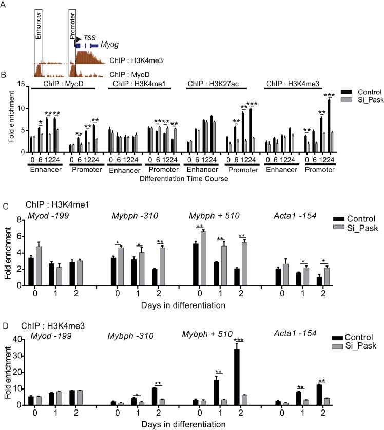 Figure 7—figure supplement 1.