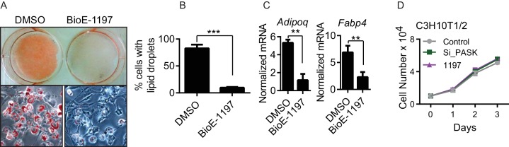 Figure 1—figure supplement 3.