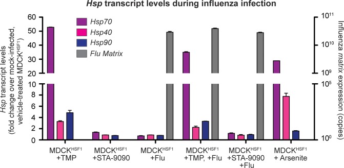 Figure 1—figure supplement 2.