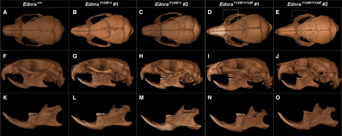 Fig. 3