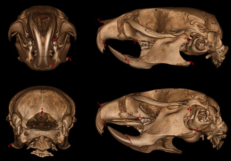 Fig. 1