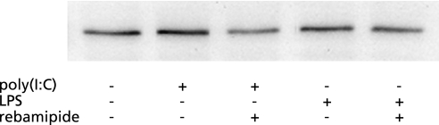 Fig. 7