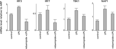 Fig. 6