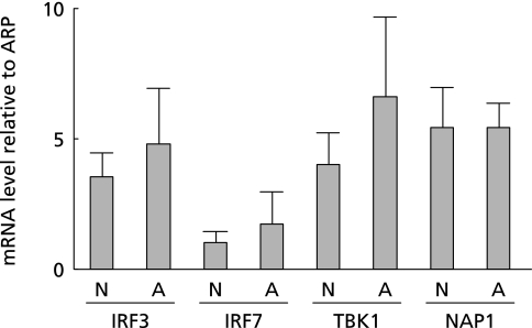 Fig. 1