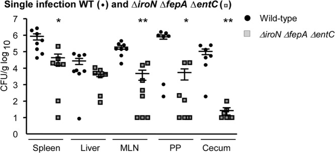 Fig 6