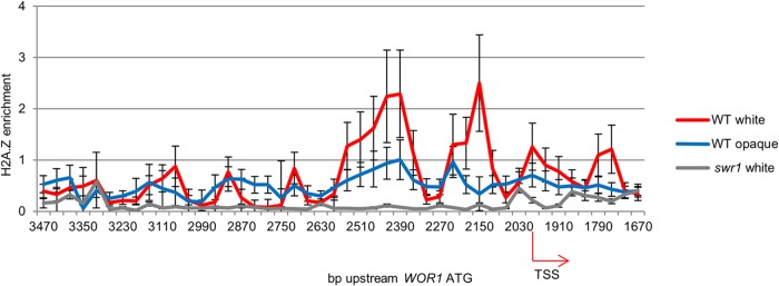 FIG 3