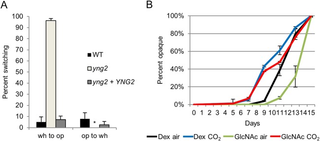 FIG 4