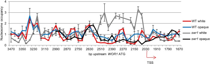 FIG 2