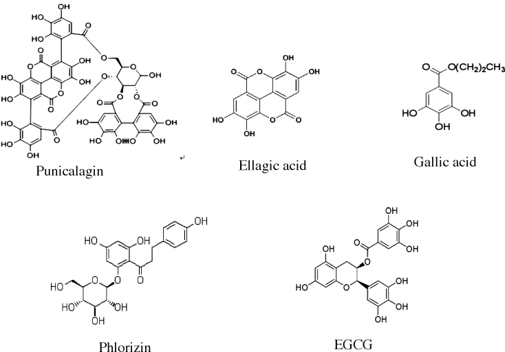 Fig. 7