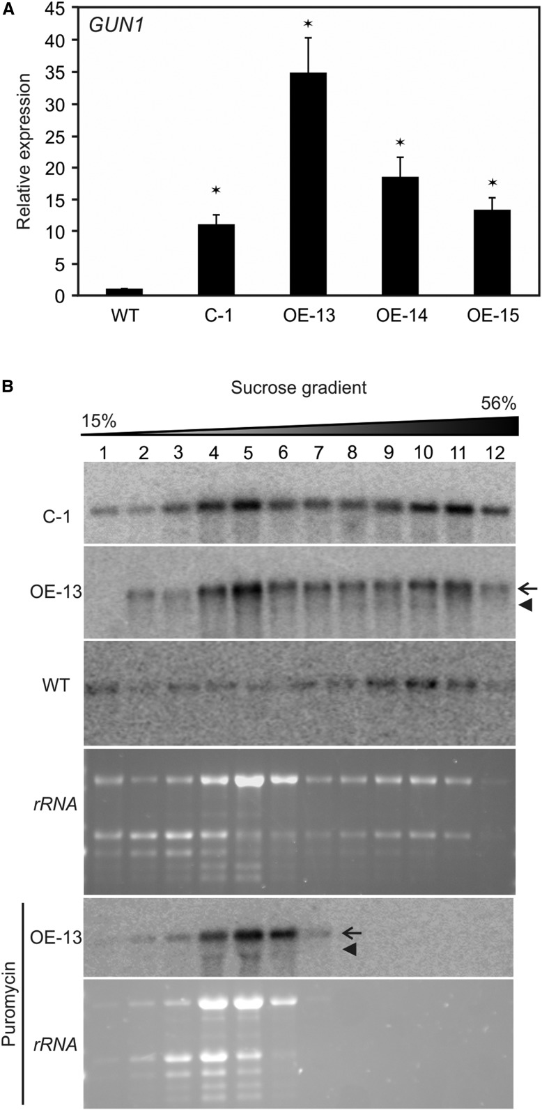 Figure 6.