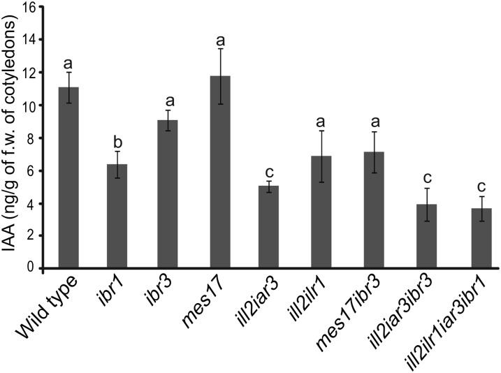 Figure 6.