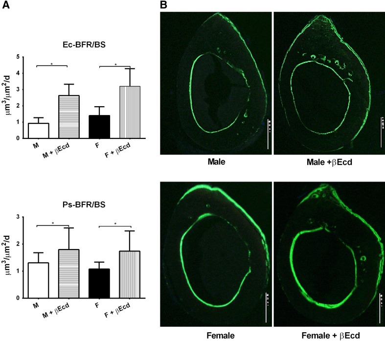 Fig. 2A–B