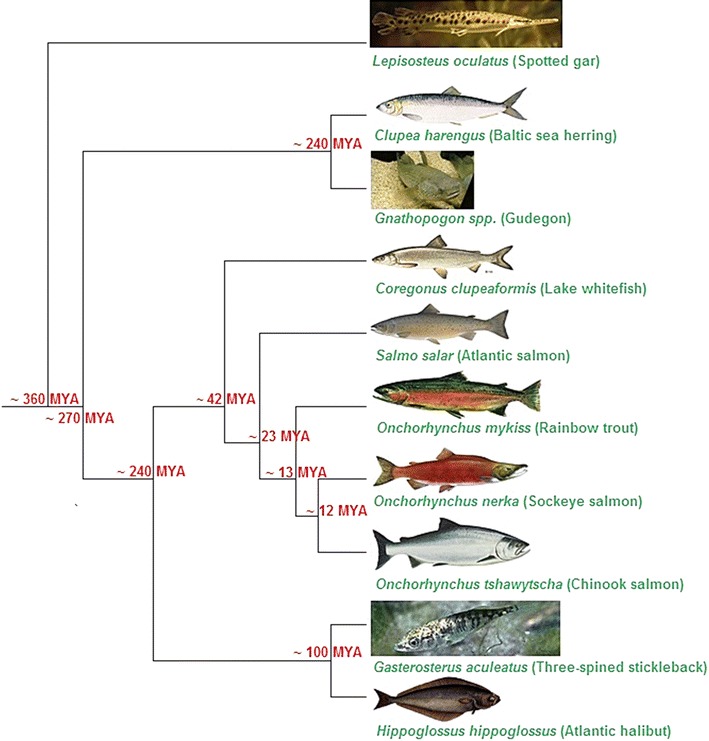 Figure 1