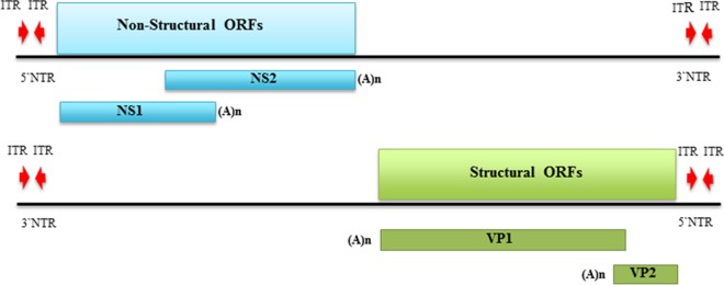 FIG 4