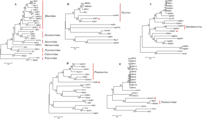 FIG 2