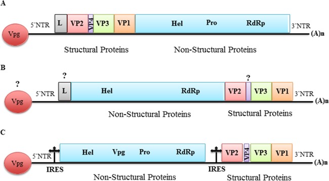 FIG 1