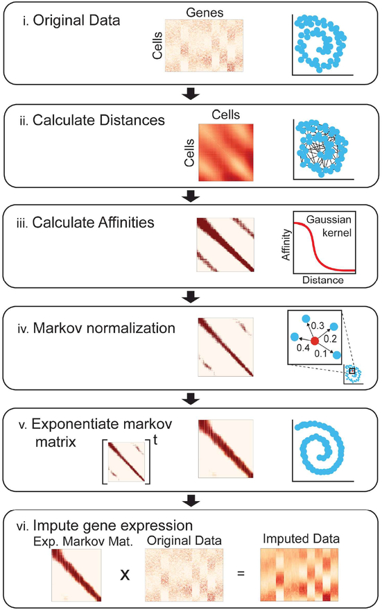 Fig 1: