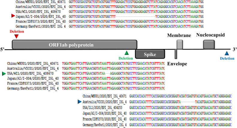 Fig. 1