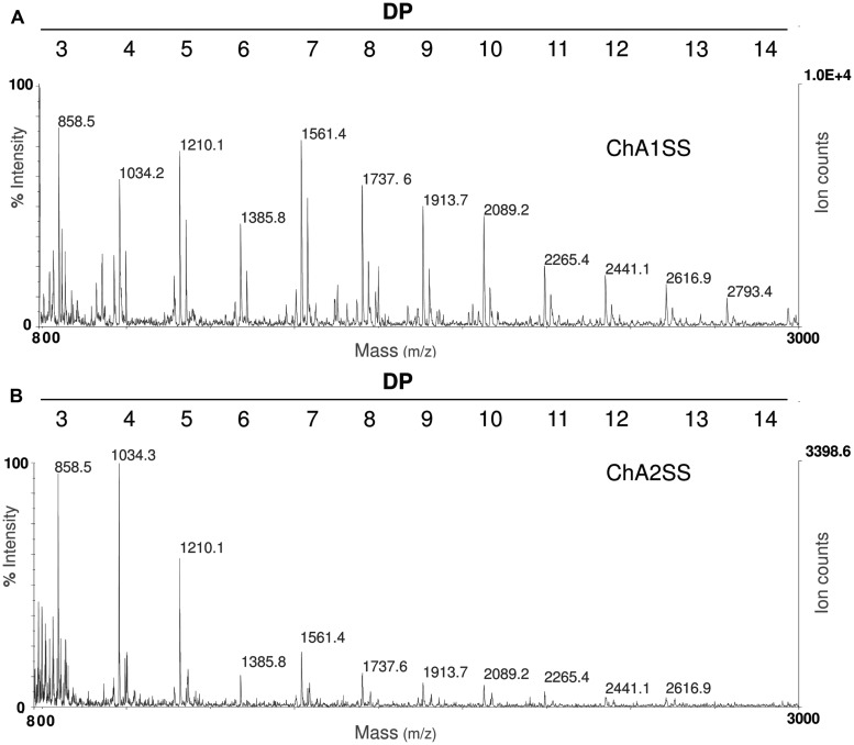 FIGURE 3