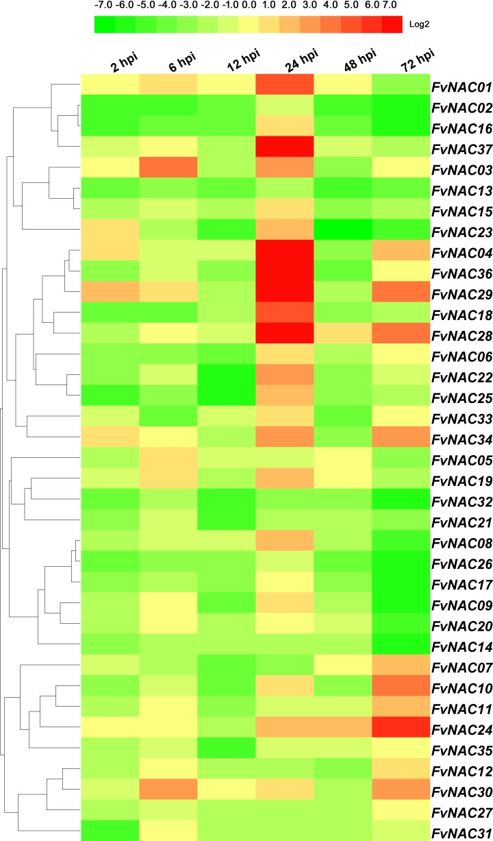 Fig 13