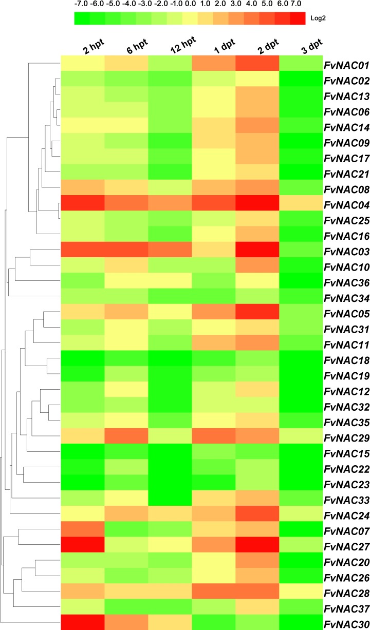 Fig 11