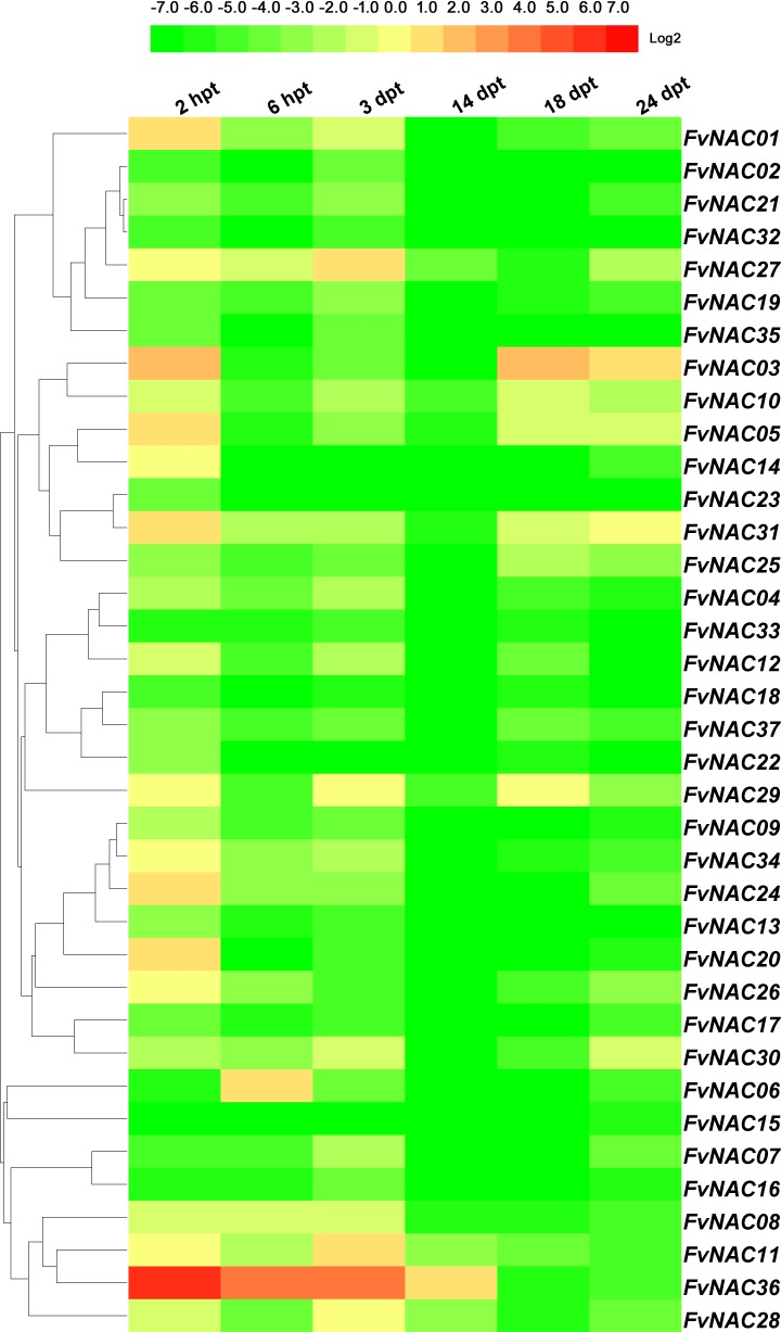 Fig 6