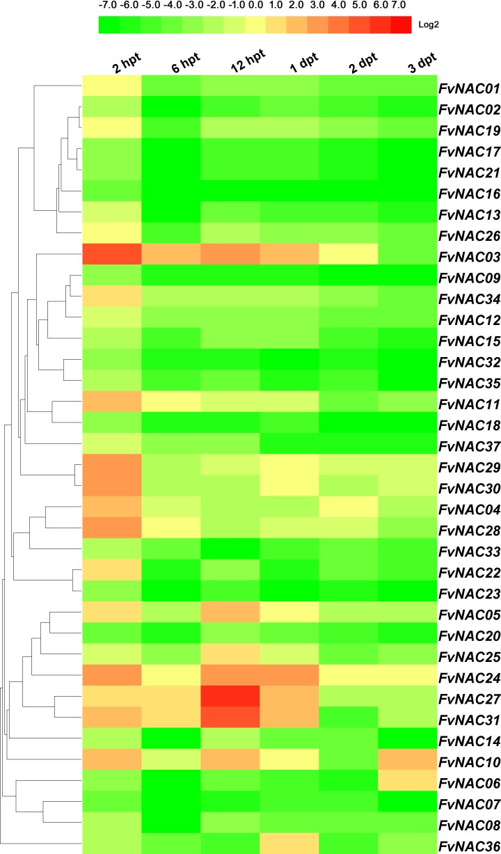 Fig 10