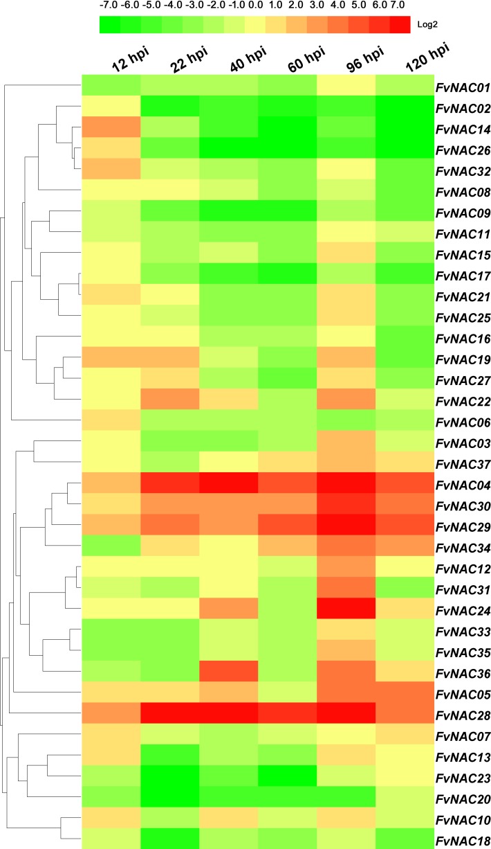 Fig 12