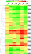 Fig 12