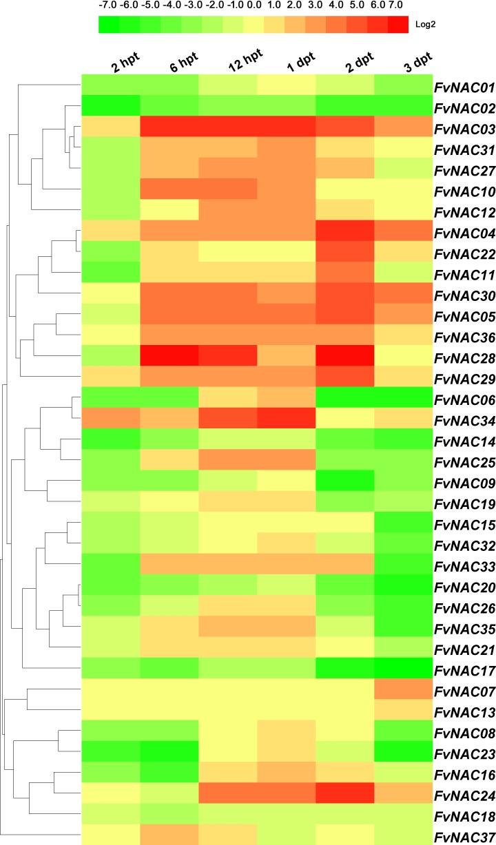 Fig 8