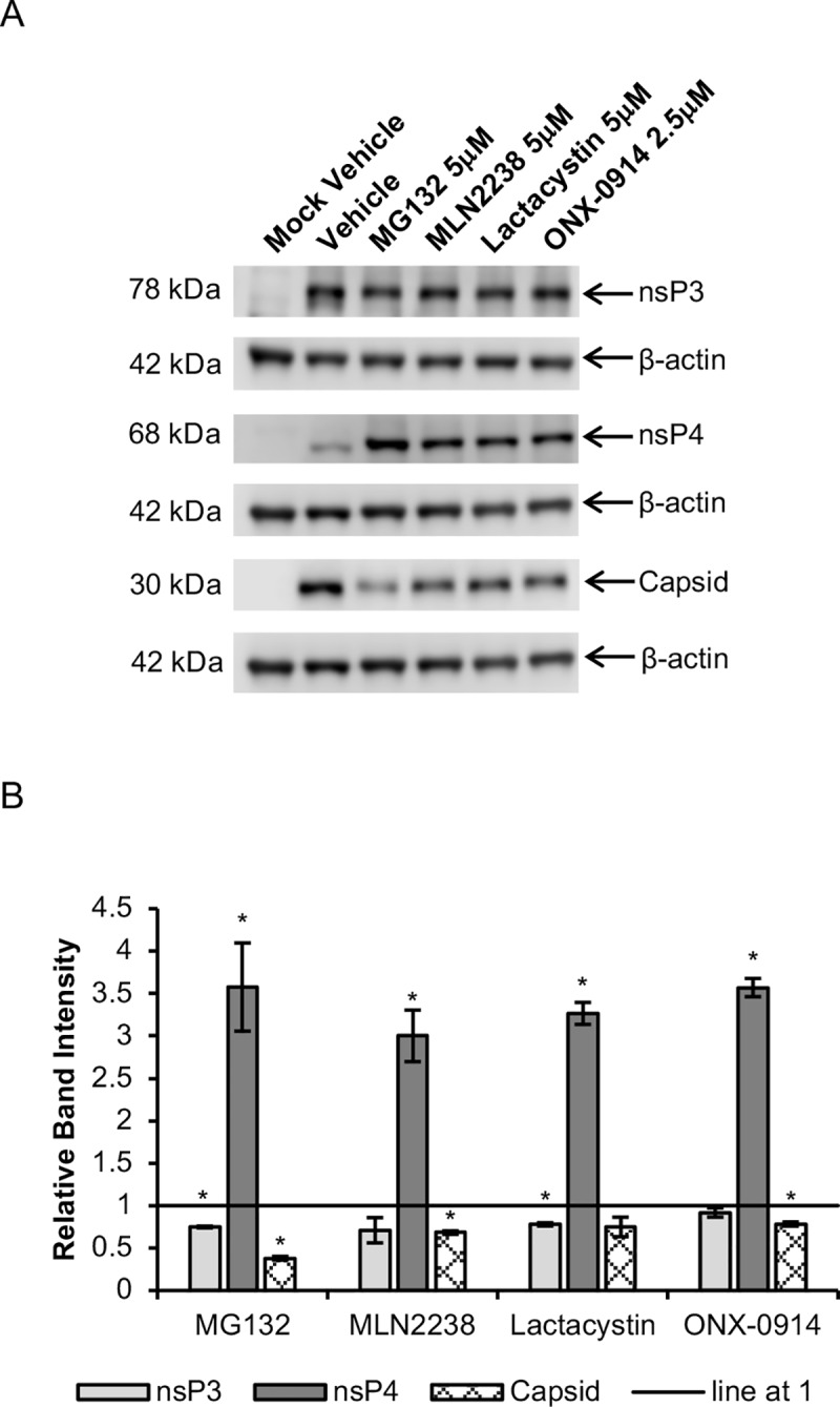 Fig 7