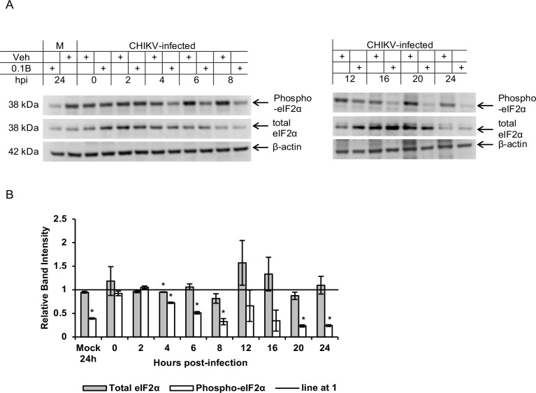 Fig 8