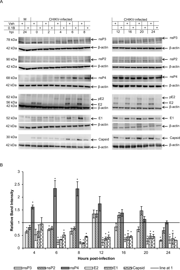 Fig 5