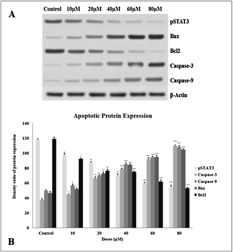 Fig. 8