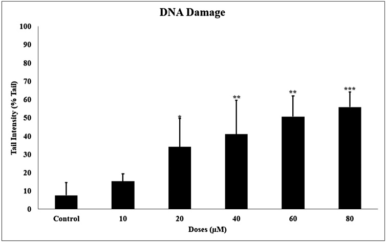 Fig. 11