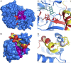 <sc>Fig.</sc> 2