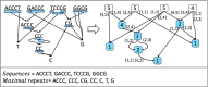 Fig.6: