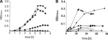 FIG. 2.