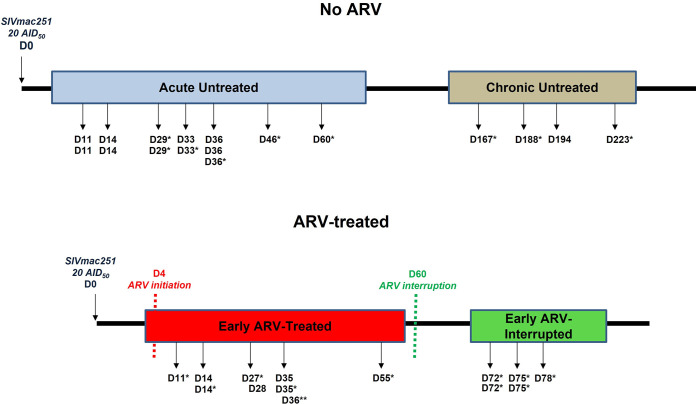 FIG 6