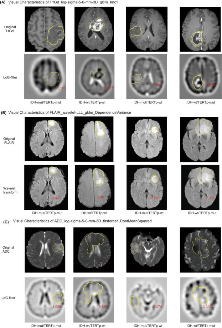 FIGURE 4