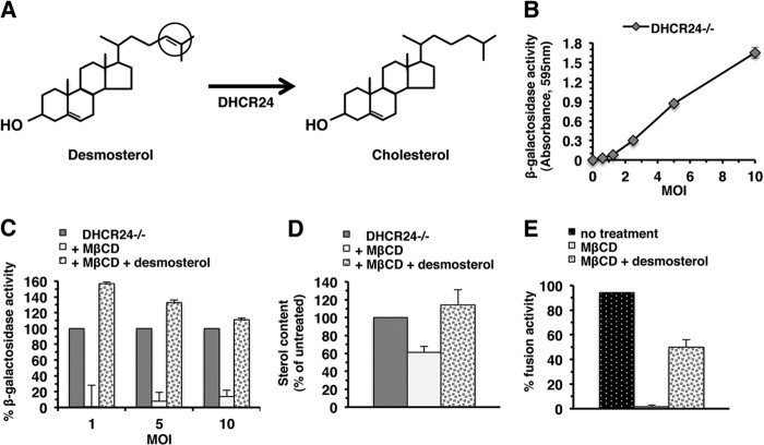 FIG 2