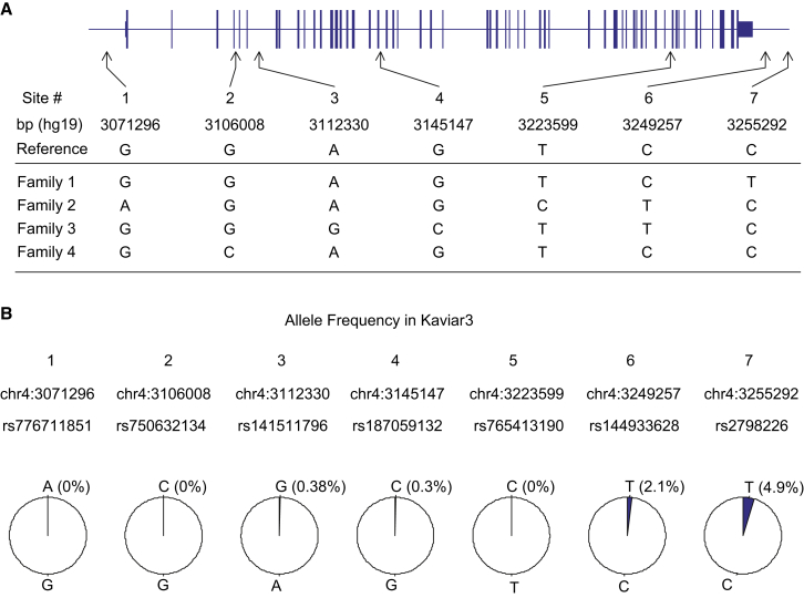 Figure 3